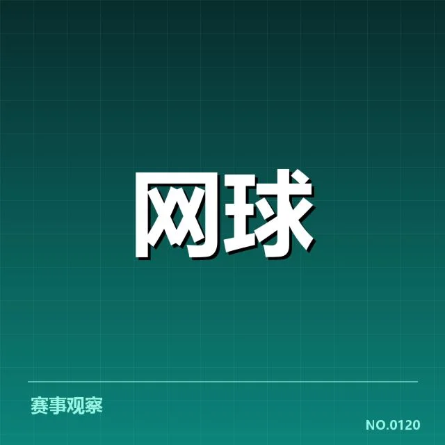 青年球员崛起背后，球队培养路径与未来潜力的深度思考（NG28）